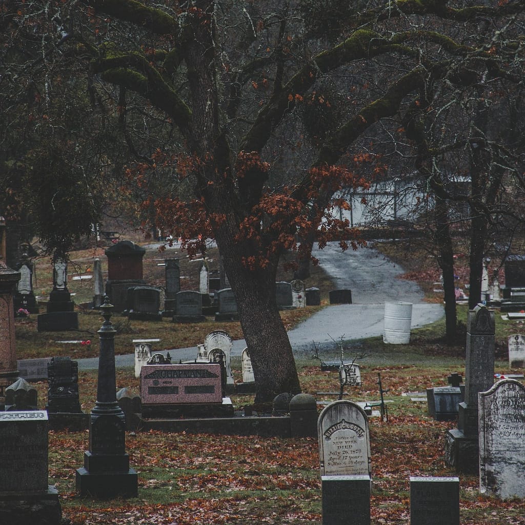 Dark cemetery with trees and gravestones