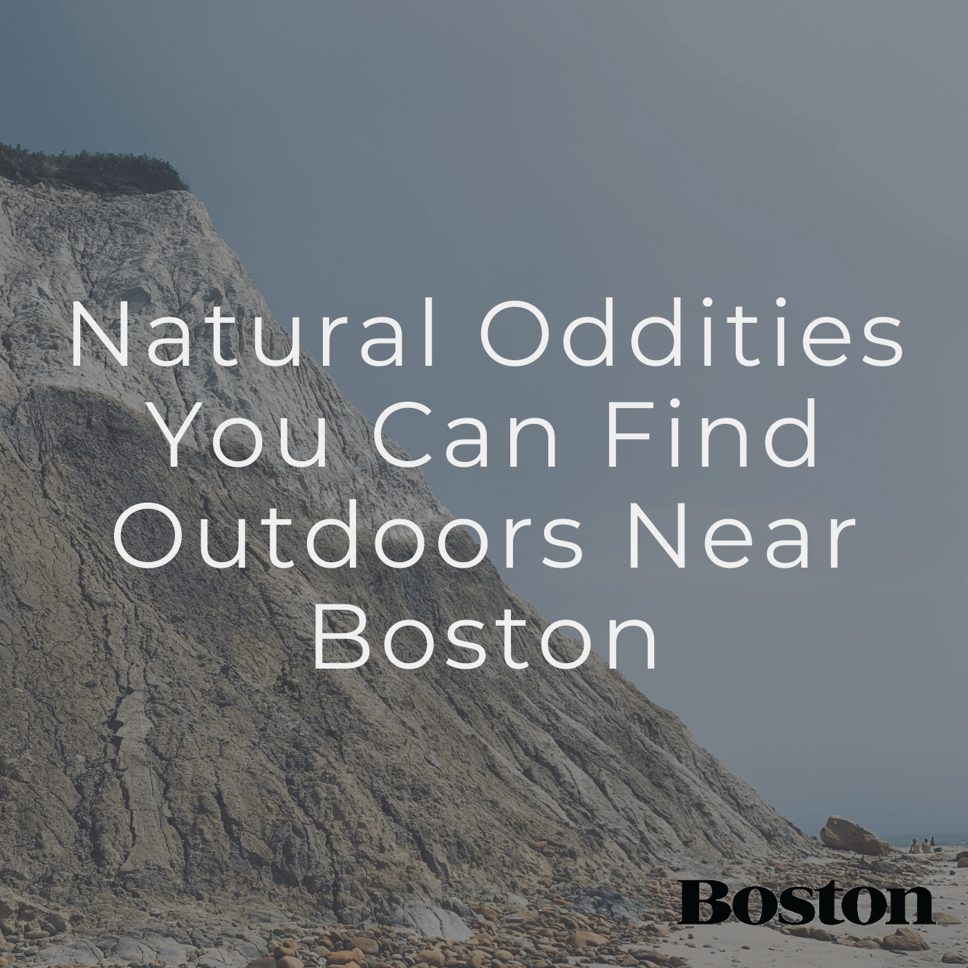 Natural Oddities You Can Find Outdoors near Boston