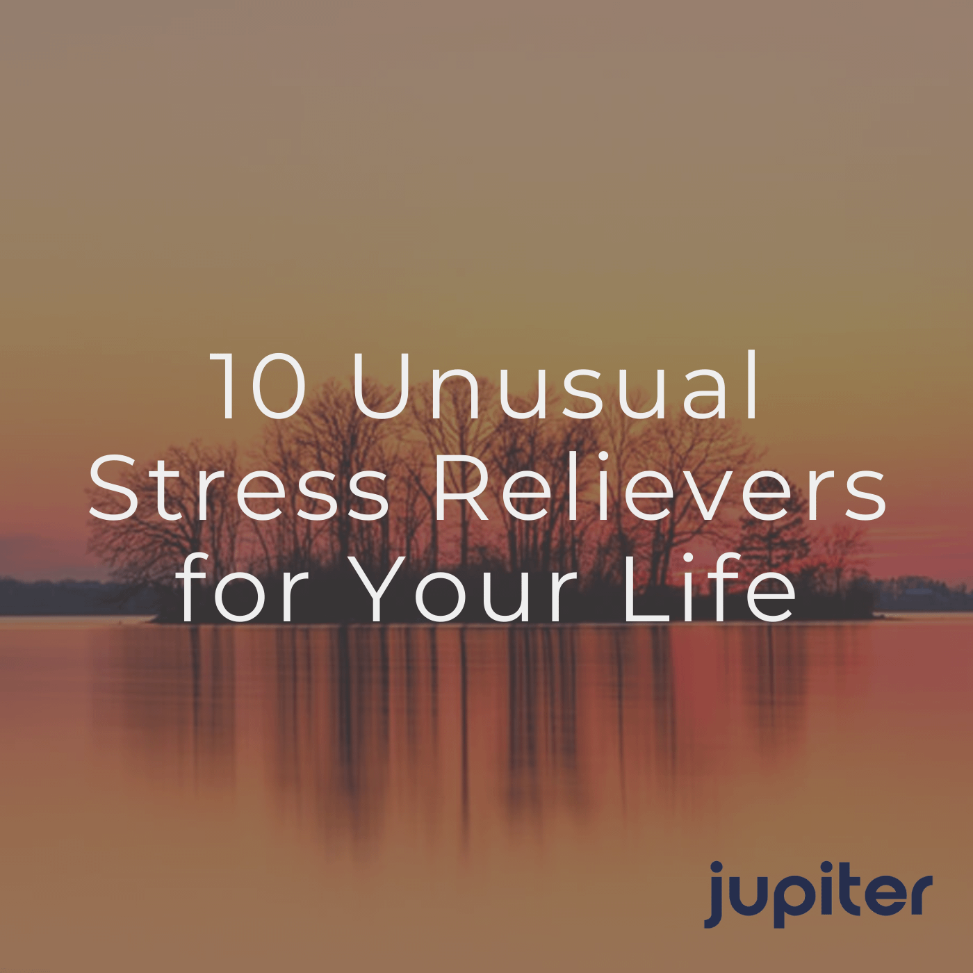 10 Unusual Stress Relievers for Your Life