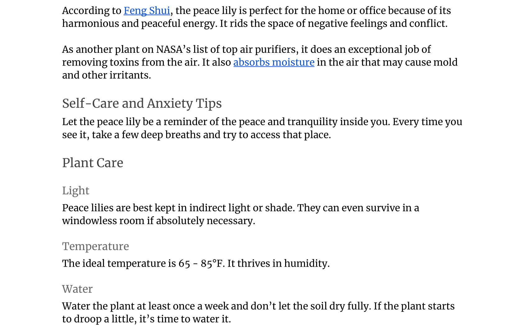 fj6-Houseplants-that-Help-With-Anxiety-10
