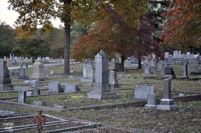 Gravestones and trees
